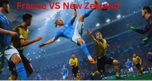 France VS New Zealand Rugby Sports Betting 2023