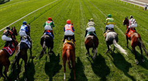 Affordable Horse Racing Syndicates