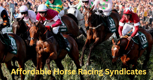 Affordable Horse Racing Syndicates